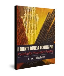 A unique collection of conservitive poetry and political awareness.