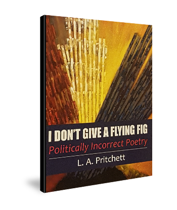 A unique collection of conservitive poetry and political awareness.